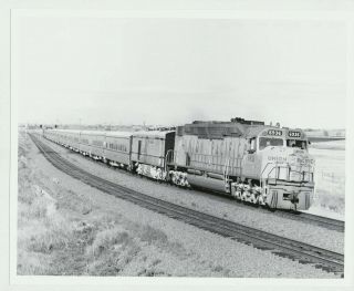 Vtg 1993 Union Pacific Railroad Photo Denver Post Frontier Days Spec.  Train 8x10