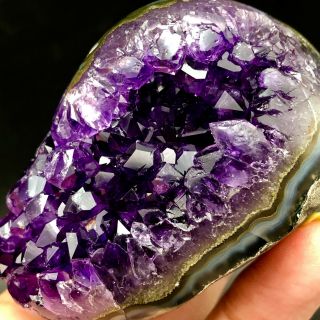185g Museum Quality - Natural Deep Purpleamethyst Crystal Quartz Cluster/brazil