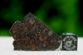 Nwa 10699 Ll (l) 3 Primitive Chondrite Meteorite 4.  8g Part Slice Of Rare Type