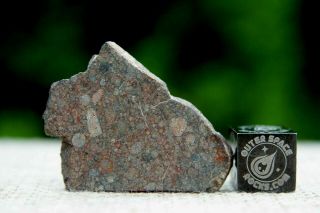 NWA 10699 LL (L) 3 Primitive Chondrite Meteorite 4.  8g part slice of rare type 2