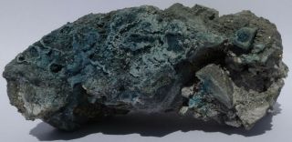 Unusual Moly Mineral - - Ilsemannite With Pyrite - - Lone Tree Mine,  Nevada - - Pc