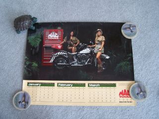 1990 " Zebra Experience " Calendar/poster From Mac Tools Harley Davidson
