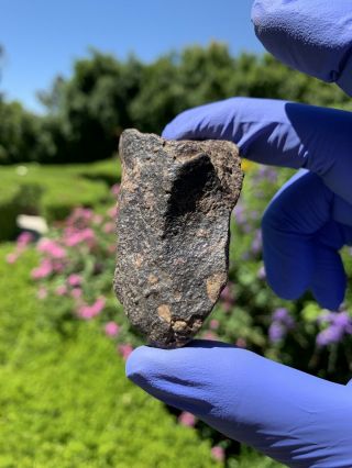 Meteorite Nwa,  Unclassified 76.  59 Grams W/fresh Fusion Crusted