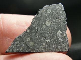 Allende Official Carbonaceous Cv3 Chondrite - Aln - 0002 - 1.  80g - - Part Slce