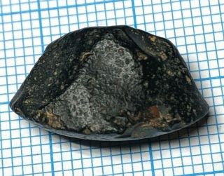 Australite 30: 2.  4g Australian Tektite From Meteorite Impact,  Chipped Core Frag