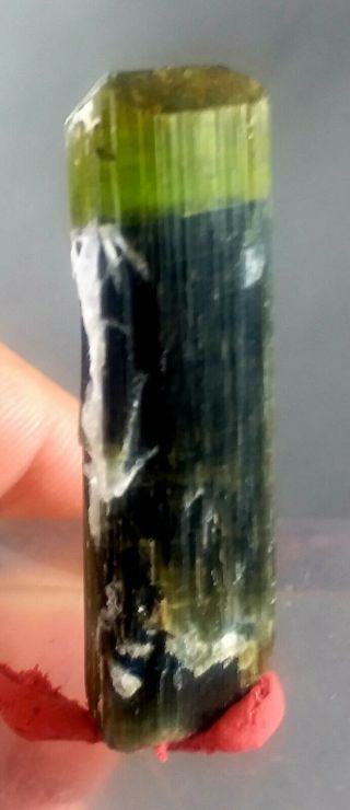 76 Carat Top Quality Double Terminated Green Cap Tourmaline Crystal @pak