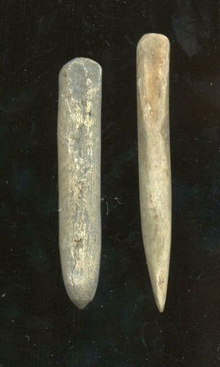 Indian Artifacts - Fine Polished Bone Awl And Knapping Tool - Glovers Cave Site