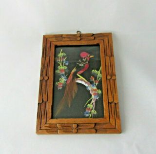 Vintage Mexican Feathercraft Framed Colorful Red Bird Bohemian 5 " X 7 "