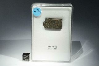 Nwa 3118 Meteorite Part Slice 4.  7g Carbonaceous Chondrite Cv3
