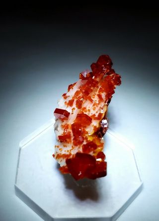 Fire - Red Vanadinite Crystals On Fluorescent Barite,  Mine Morocco