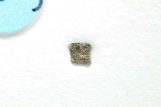 NWA 2999 meteorite cut fragment.  Classified as an Angrite 2