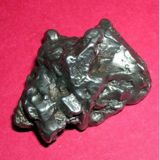 Campo Del Cielo Meteorite Crystal - 54.  7 Grams