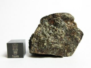 Nwa 869 Meteorite 45.  09g Blocky Chondrite