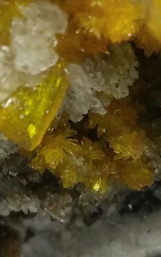 Wow - Yellow Wulfenite,  Mimetite,  Calcite Crystals On Matrix,  Mine Mexico