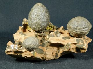 Three Moqui Marbles On A 100 Natural Navajo Sandstone Formation Utah 701gr E