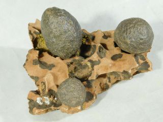 Three Moqui Marbles on a 100 Natural Navajo Sandstone Formation Utah 701gr e 3
