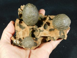 Three Moqui Marbles on a 100 Natural Navajo Sandstone Formation Utah 701gr e 5