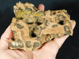 Three Moqui Marbles on a 100 Natural Navajo Sandstone Formation Utah 701gr e 6