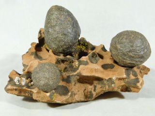 Three Moqui Marbles on a 100 Natural Navajo Sandstone Formation Utah 701gr e 8