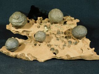 FIVE Moqui Marbles on a 100 Natural Navajo Sandstone Formation Utah 644gr e 2
