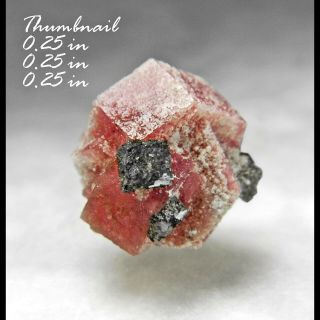 Red Beryl (bixbite),  Bixbyite Topaz Mountain Utah Minerals Crystals Gems - Thn