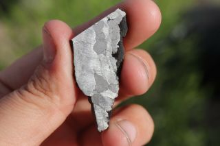 Canyon Diablo Meteorite Part Slice 8.  4 Grams