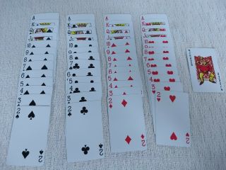 KEM Plastic Playing Cards 2 Decks in Case with Gull Print Design - 5