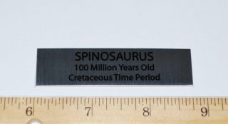 Spinosaurus Dinosaur Fossil Display Label
