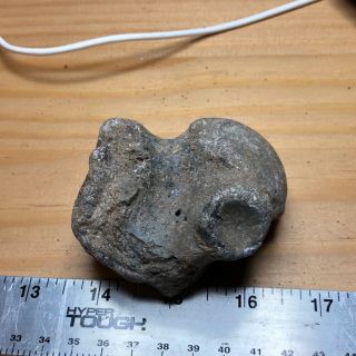 Vertebra To A Mosasaur From Cretaceous Of North Sulpher River Texas