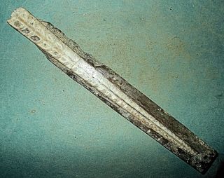 Fine Complete 16cm Cut/polished Orthoceras Sp. ,  Middle Ordovician Of Sweden