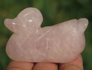 50mm 1.  7oz Natural Pink Rose Quartz Crystal Carving Art Duck Gift