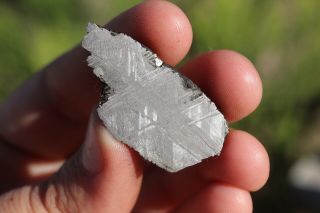 Muonionalusta Meteorite Etched Full Slice 10 Grams