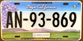 Baja California Norte Mexico License Plate Expired Graphic Background Grapes