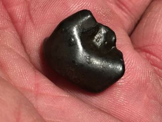 Sikhote - Alin Meteorite,  Federated Ssr,  U.  S.  S.  R.  - Fusion Crust - 10.  5 Grams