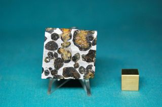 Sericho Pallasite Meteorite 50.  2 Grams
