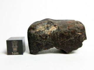 Nwa 869 Meteorite 34.  77g Beautifully Shaped Chondrite