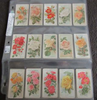 1912 W.  D.  H.  O Wills A Series Of Roses Set Of 50 Tobacco Cards 1st Series Vl1412