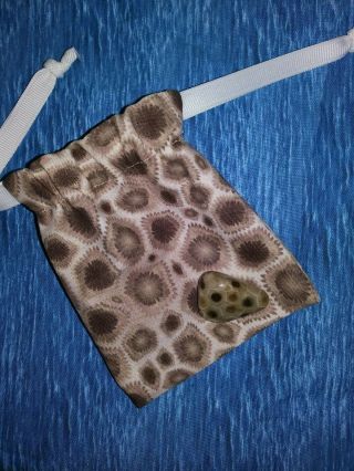 Michigan Hand Polished Petoskey Stone Coral Fossil Hexagonaria W/bag