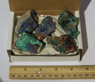 NATURAL Blue Azurite with Malachite CRYSTAL Mineral Specimen Set of 5 2
