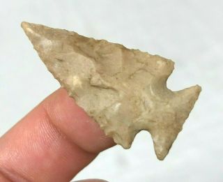 Exceptional Scallorn Point Bell Co. ,  Texas Authentic Arrowhead Artifact B24