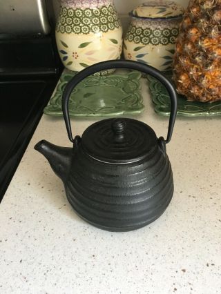 Black Cast Iron Japanese Tea Pot - With Strainer