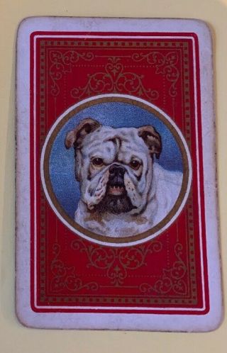 Playing Swap Cards = 1 Single Vintage English Bulldog Dogs Red