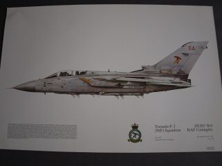 Tornado F.  3 29 (f) Squadron Raf Coningsby 1987 Squadron Print