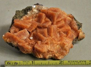 Chabazite Crystals Pink Nova Scotia Mineral Specimen