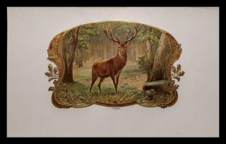 Antique Embossed Cigar Box Label Deer