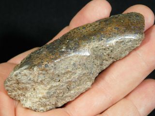 A Polished Jurassic Era Dinosaur Gem Bone Fossil From Southern Utah 88.  8gr E