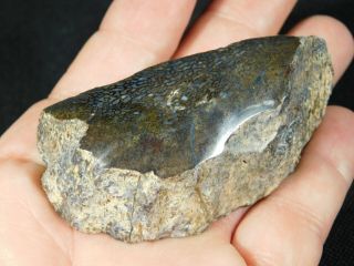 A Polished Jurassic Era Dinosaur Gem Bone Fossil From Southern Utah 106gr E