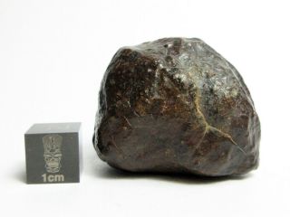 Nwa X Meteorite 46.  96g Fabulous Flight Marked Firestone
