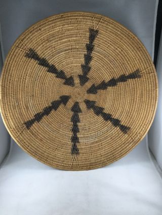 Room & Board - African Large Winnowing Basket