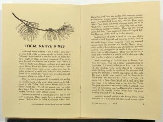 1952 Santa Barbara California Natural History Native Pines booklet b 3